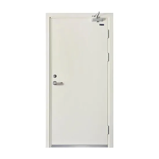 Hot Selling Modern Style Double Leaf Safety Emergency Exit Metal Door Fire Rated Steel Door 