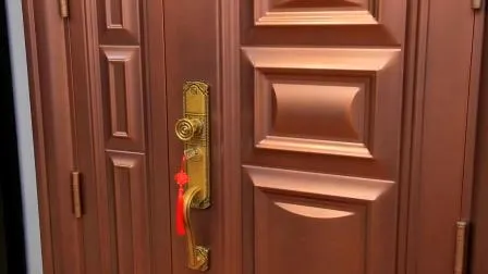 High Quality Steel Security Apartment Door Israel Steel Door 