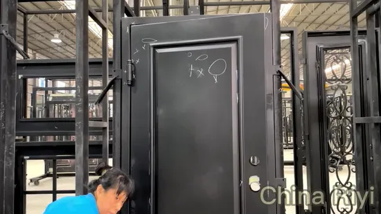 Simple Design Modern American French Style Wrought Iron Storm Security Front Entry Doors 