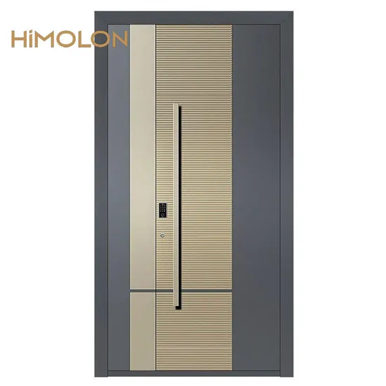Aluminum Entrance Door with Glass Panels Modern Aesthetic and Natural Light Integration 
